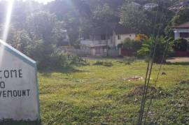 Development Land (Residential) for Sale in Mandeville