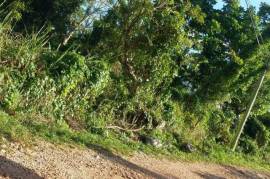 Development Land (Residential) for Sale in Mandeville