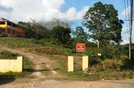 Development Land (Residential) for Sale in Mandeville