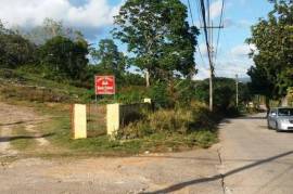 Development Land (Residential) for Sale in Mandeville