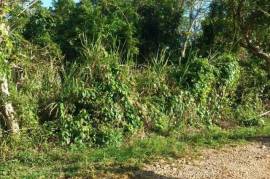 Development Land (Residential) for Sale in Mandeville