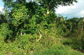 Development Land (Residential) for Sale in Mandeville