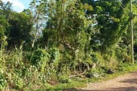 Development Land (Residential) for Sale in Mandeville