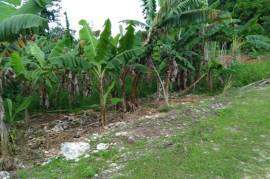 Development Land (Residential) for Sale in Browns Town