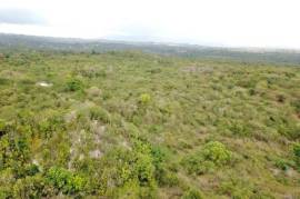 Development Land (Residential) for Sale in Spanish Town  Leased