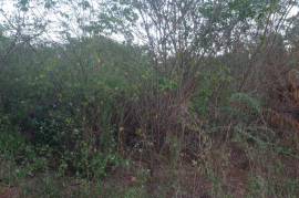 Development Land (Residential) for Sale in Osbourne Store