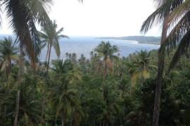 Development Land (Residential) for Sale in Buff Bay