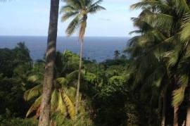 Development Land (Residential) for Sale in Buff Bay