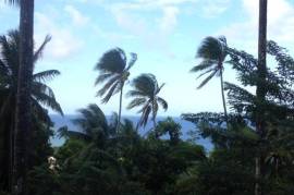 Development Land (Residential) for Sale in Buff Bay