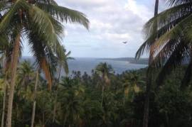 Development Land (Residential) for Sale in Buff Bay