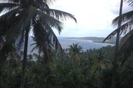 Development Land (Residential) for Sale in Buff Bay