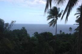 Development Land (Residential) for Sale in Buff Bay