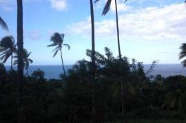 Development Land (Residential) for Sale in Buff Bay