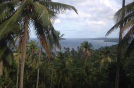 Development Land (Residential) for Sale in Buff Bay