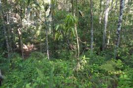 Development Land (Residential) for Sale in Kingston 17