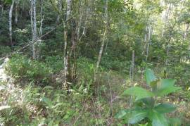 Development Land (Residential) for Sale in Kingston 17