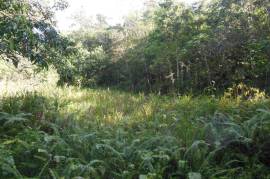 Development Land (Residential) for Sale in Kingston 17