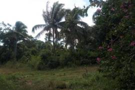 Development Land (Residential) for Sale in Pratville