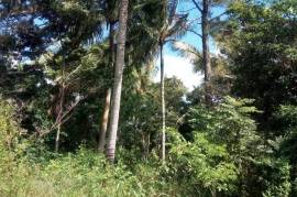 Development Land (Residential) for Sale in Pratville