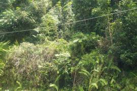 Development Land (Residential) for Sale in Runaway Bay