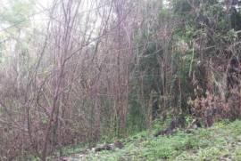 Development Land (Residential) for Sale in Highgate