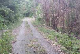 Development Land (Residential) for Sale in Highgate