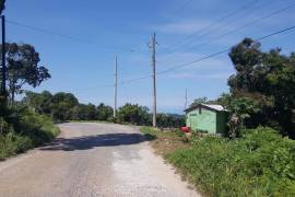 Development Land (Residential) for Sale in Browns Town