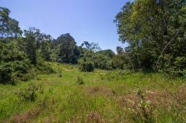 Development Land (Residential) for Sale in Browns Town