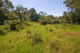 Development Land (Residential) for Sale in Browns Town