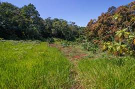 Development Land (Residential) for Sale in Browns Town