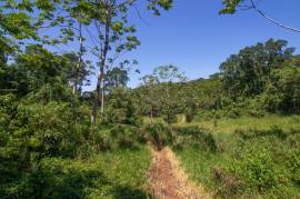 Development Land (Residential) for Sale in Browns Town