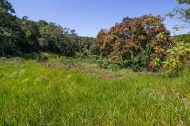 Development Land (Residential) for Sale in Browns Town