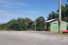 Development Land (Residential) for Sale in Browns Town