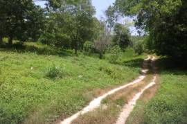 Development Land (Residential) for Sale in Gayle