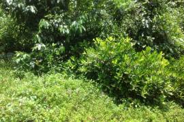 Development Land (Residential) for Sale in Gayle