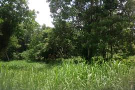 Development Land (Residential) for Sale in Gayle