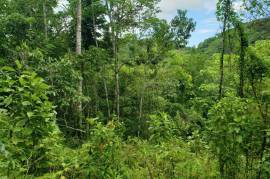 Development Land (Residential) for Sale in Great Valley