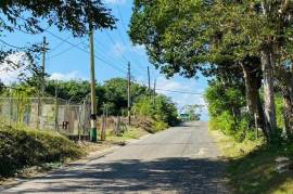 Development Land (Residential) for Sale in Adelphi