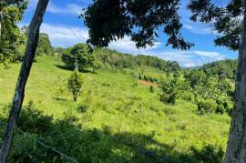 Development Land (Residential) for Sale in New Market