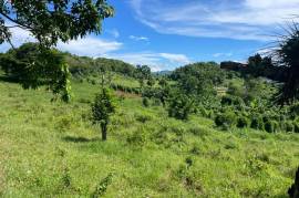 Development Land (Residential) for Sale in New Market