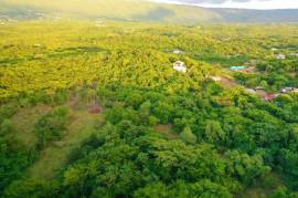 Development Land (Residential) for Sale in Nain