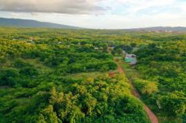 Development Land (Residential) for Sale in Nain