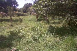 Development Land (Residential) for Sale in Bamboo