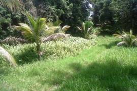 Development Land (Residential) for Sale in Bamboo