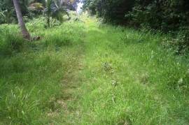 Development Land (Residential) for Sale in Bamboo