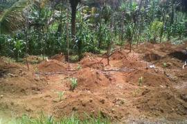 Development Land (Residential) for Sale in Bamboo