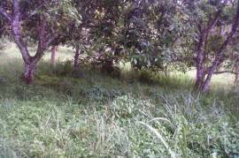 Development Land (Residential) for Sale in Bamboo