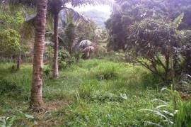 Development Land (Residential) for Sale in Bamboo