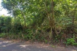 Development Land (Residential) for Sale in Bog Walk  Leased