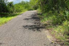 Development Land (Residential) for Sale in Black River